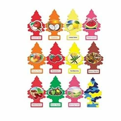 Buy ???? Ittle Trees Home And Car Air Freshener 12 Pack Most Popular Fruit Scents ????