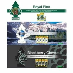 Best Pirce ???? Ittle Trees Car Air Freshener Masculine Super Variety Pack 12 Count ⌛ -Car Seat Covers shop 51ONIYTk4OL